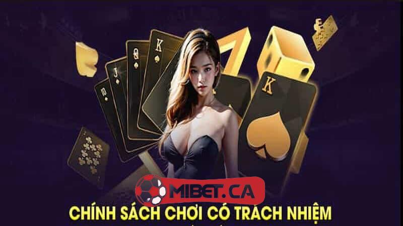 Cân nhắc về các khoản đầu tư