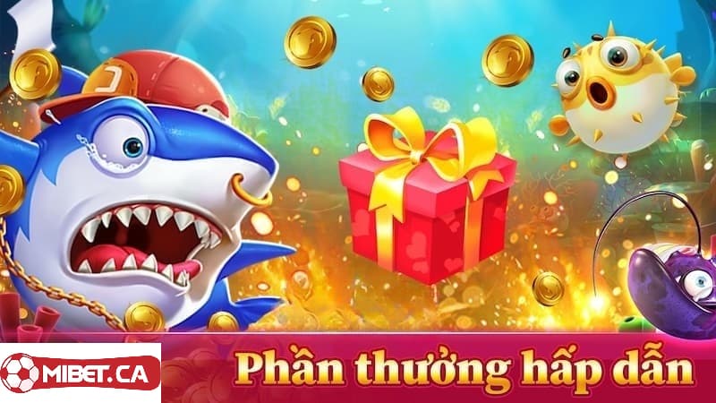 Tỷ lệ thưởng cao và trả nhanh chóng