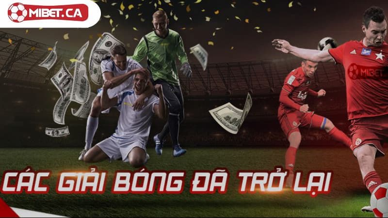 Game cá cược thể thao chất lượng, lôi cuốn