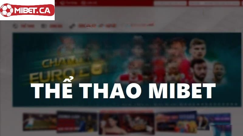 Tổng quan về thể thao Mibet